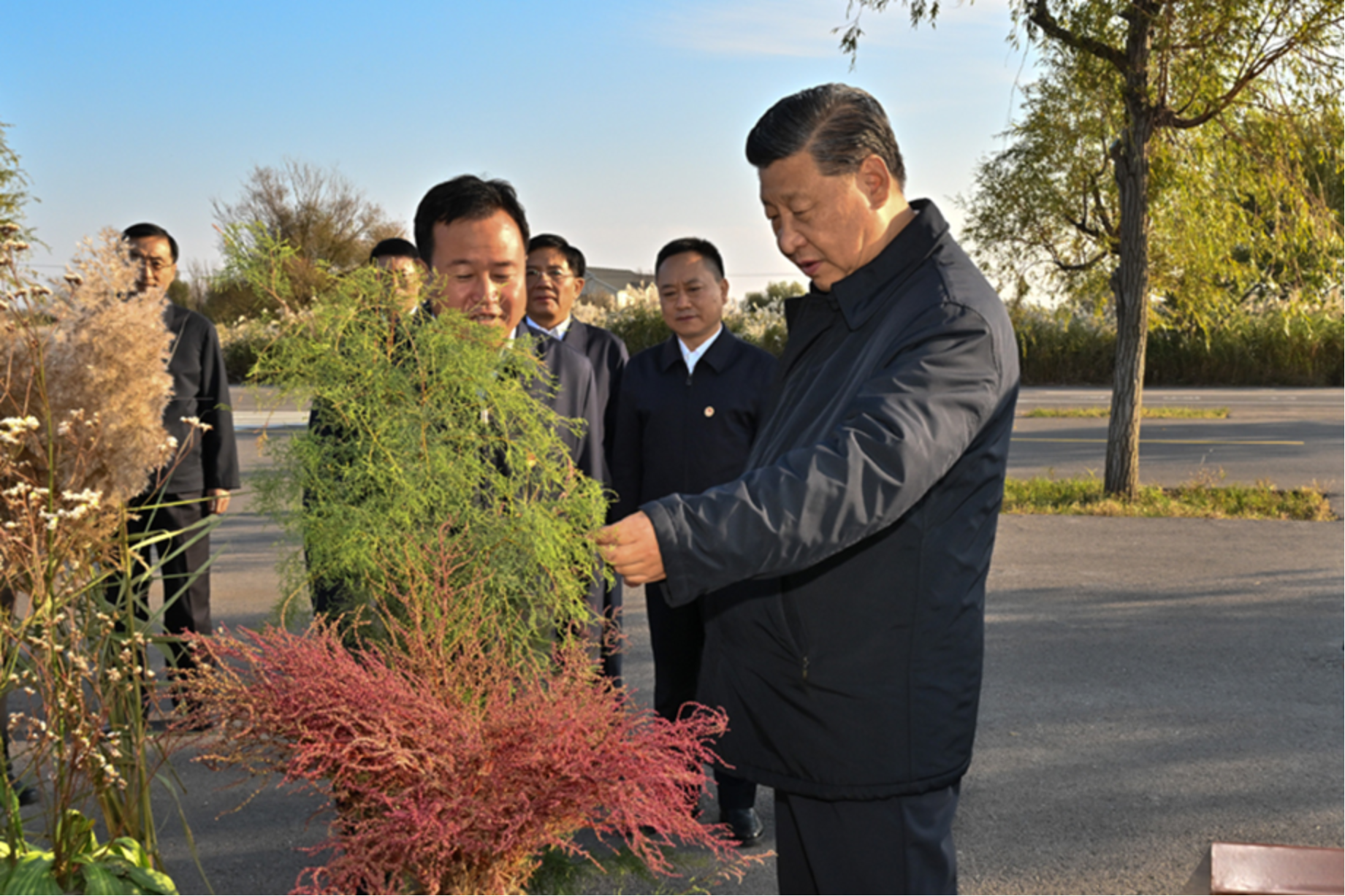 拉斯维加斯娱乐城