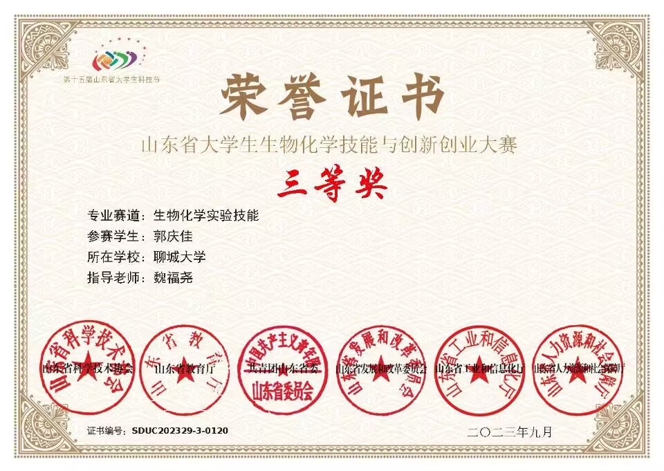 拉斯维加斯娱乐城