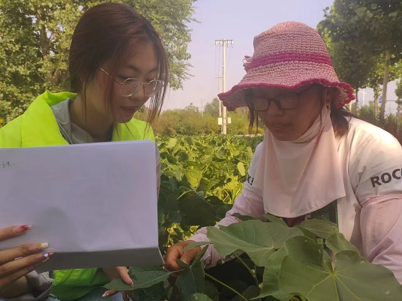 拉斯维加斯娱乐城