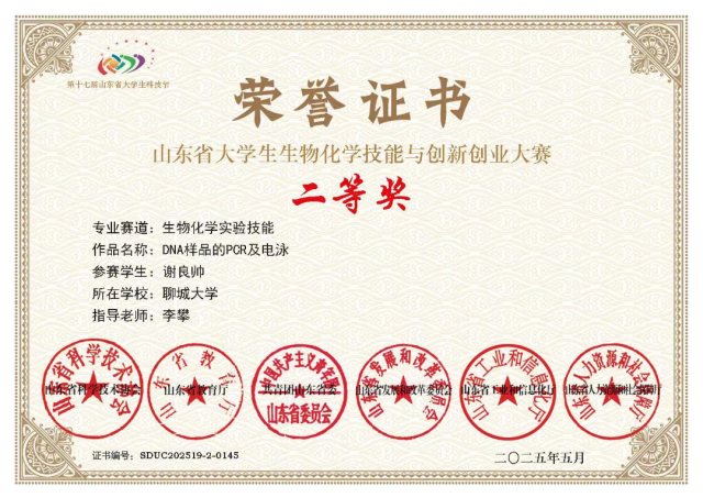 拉斯维加斯娱乐城