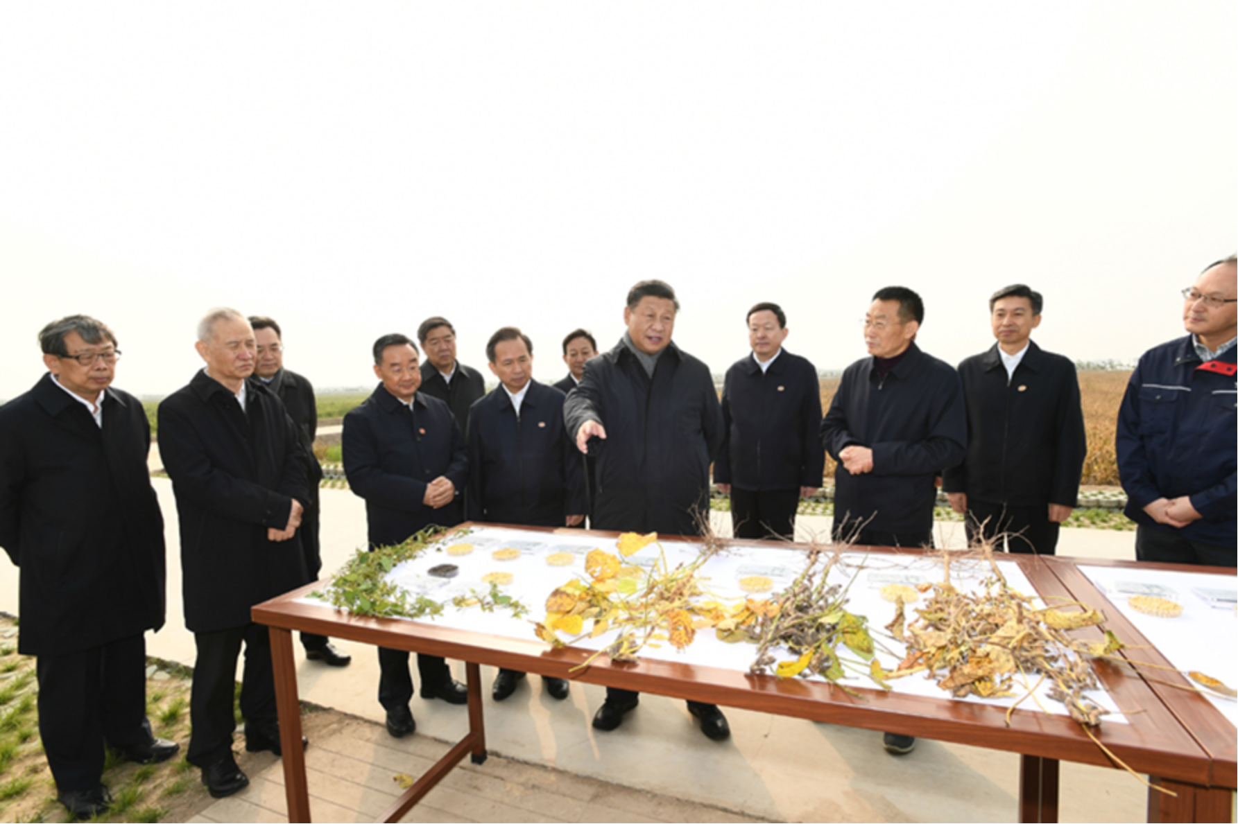 拉斯维加斯娱乐城