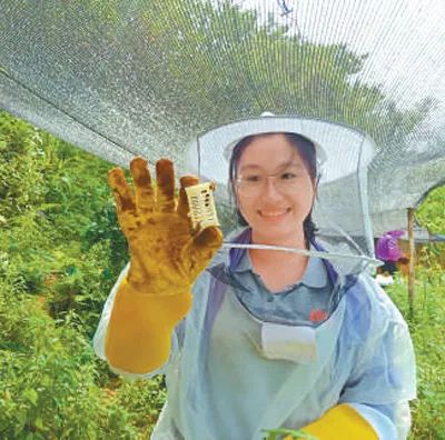 拉斯维加斯娱乐城