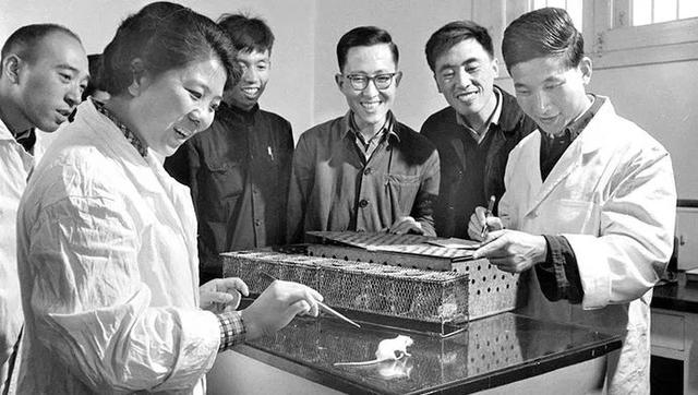拉斯维加斯娱乐城