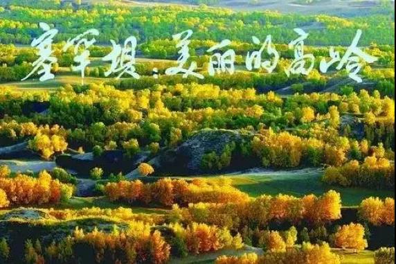 拉斯维加斯娱乐城