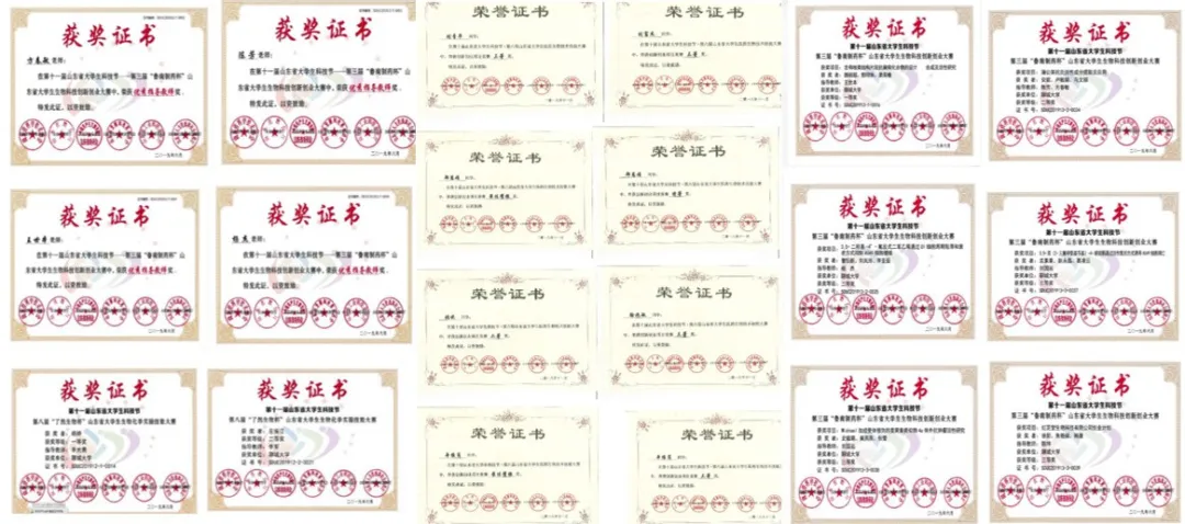 拉斯维加斯娱乐城
