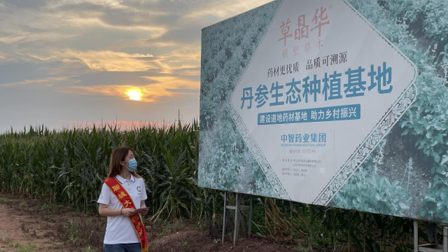 拉斯维加斯娱乐城
