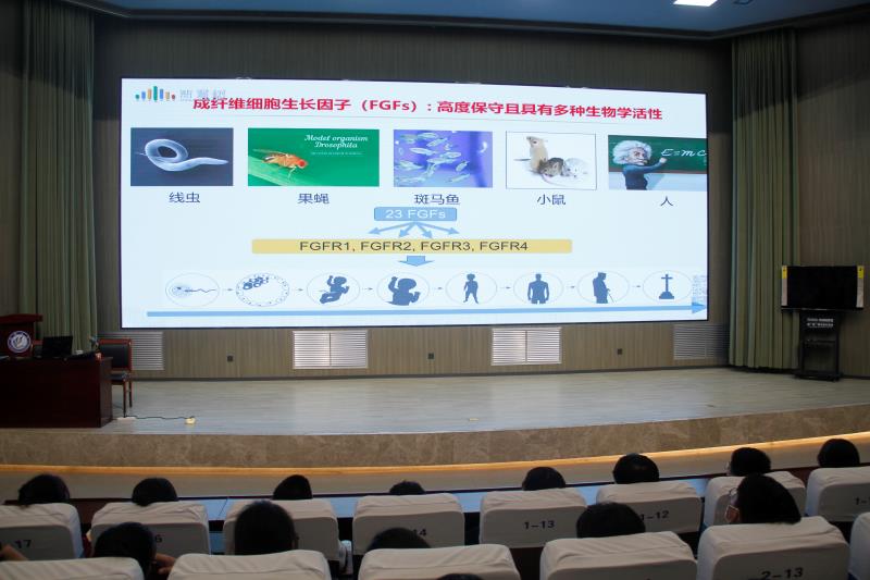 拉斯维加斯娱乐城