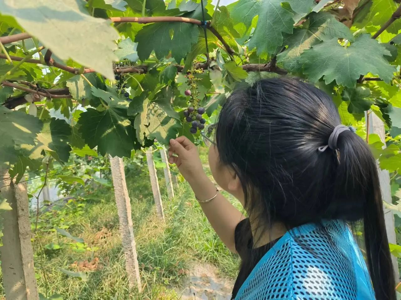 拉斯维加斯娱乐城