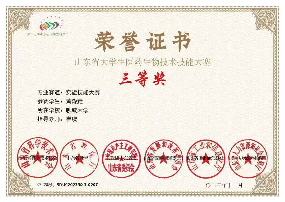 拉斯维加斯娱乐城