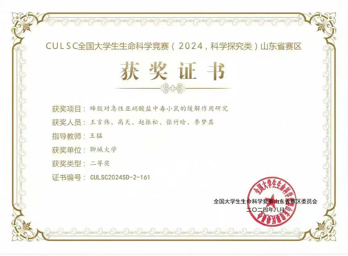 拉斯维加斯娱乐城