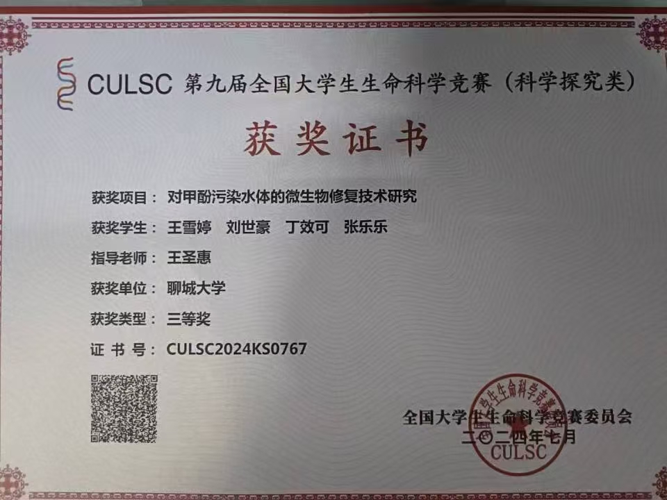 拉斯维加斯娱乐城